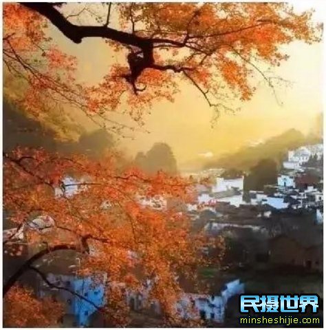 民摄世界-婺源最美十大人气赏枫地，华东第一赏枫仙境
