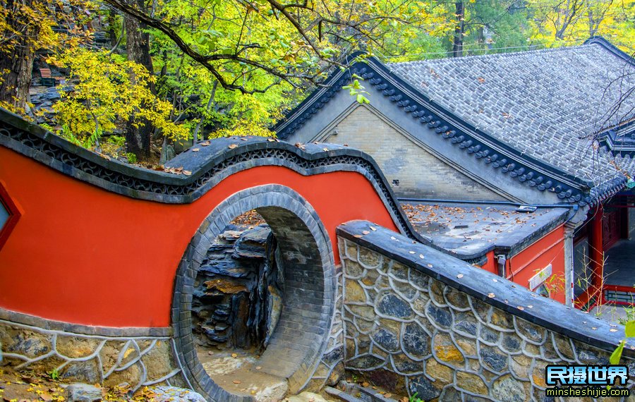 怎样拍出好看的秋色风景 如何拍出好看的秋景