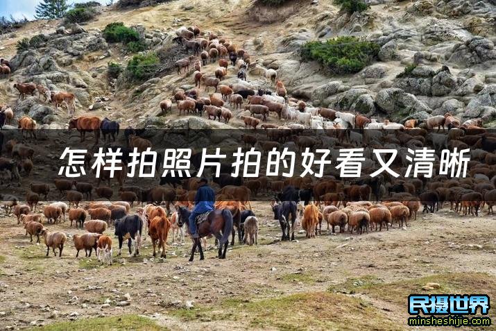 摄影技巧:怎样拍照片拍的好看又清晰呢 怎样拍照片拍得好看又清晰