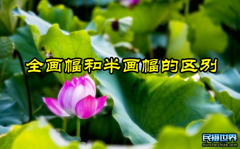 全画幅和半画幅的区别是什么 全画幅和半画幅的区别是什么图片