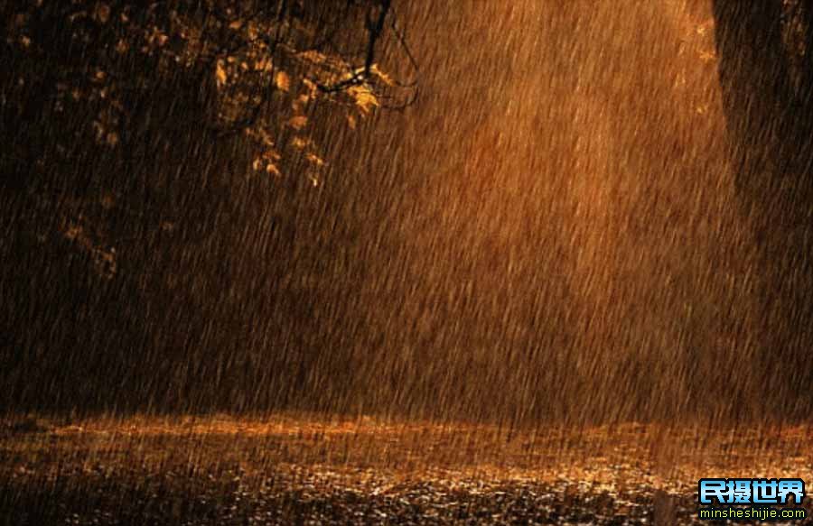 雨天拍摄技巧 照片 雨天适合拍照的地方