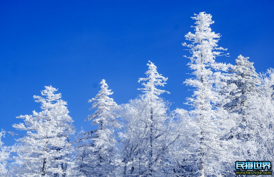 雪景拍摄姿势 雪景如何拍摄才有创意
