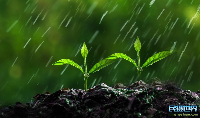 雨天拍摄注意事项和雨天拍摄技巧