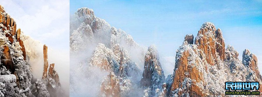 黄山雪松图片大全最美 黄山店冰雪