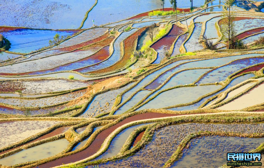 云南最适合旅游的季节是几月份 云南适合几月份去玩